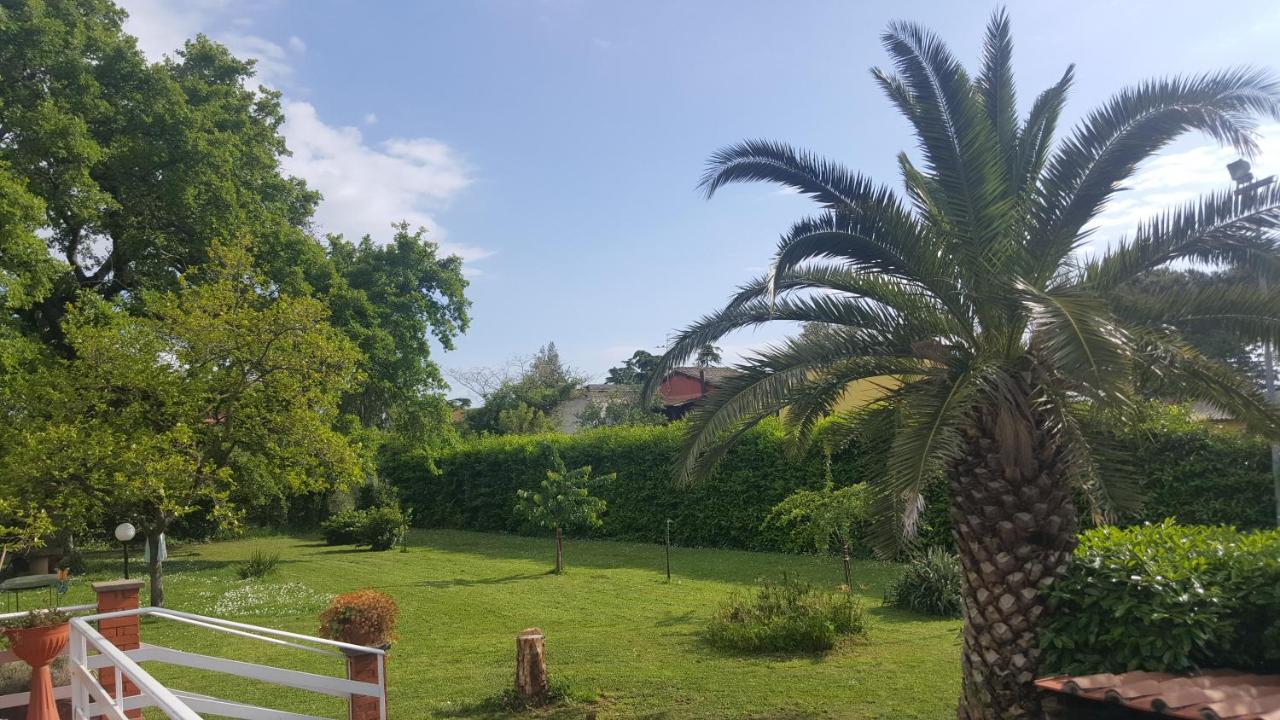 B&B Le Cinque Querce Viterbo Ngoại thất bức ảnh